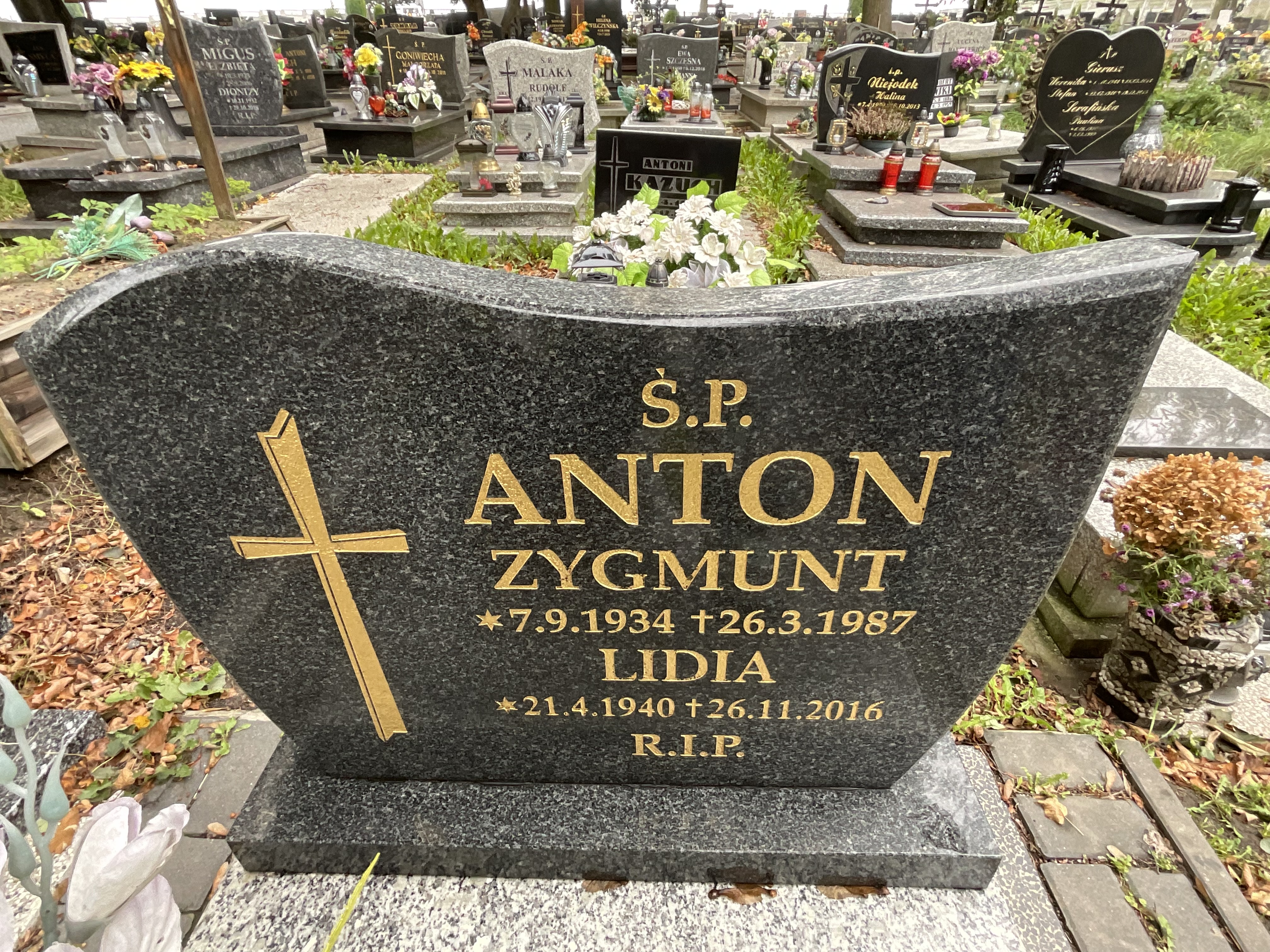 Grób Zygmunt Anton