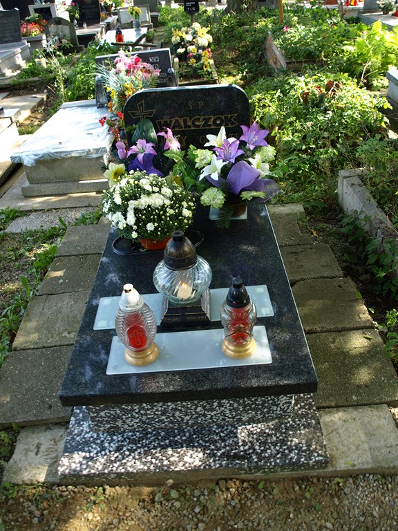 Jerzy Walczok 1935 Piekary Śląskie Brzeziny - Grobonet - Wyszukiwarka osób pochowanych